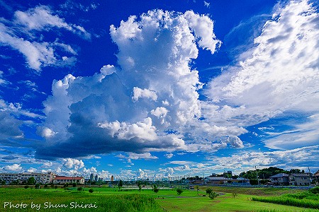 Photo by Shun Shirai