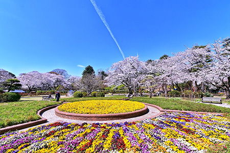 Photo by Shun Shirai